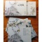 Chinese Birds and Flowers with Poems