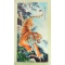 Chinese Silk Scroll - Mountain Tiger