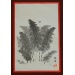 Woodblock Print